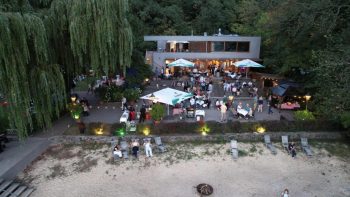 DJI 0447