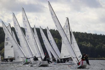 IMG 0155