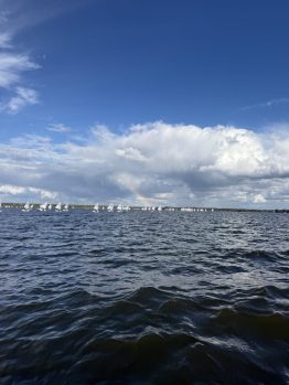 IMG 7182